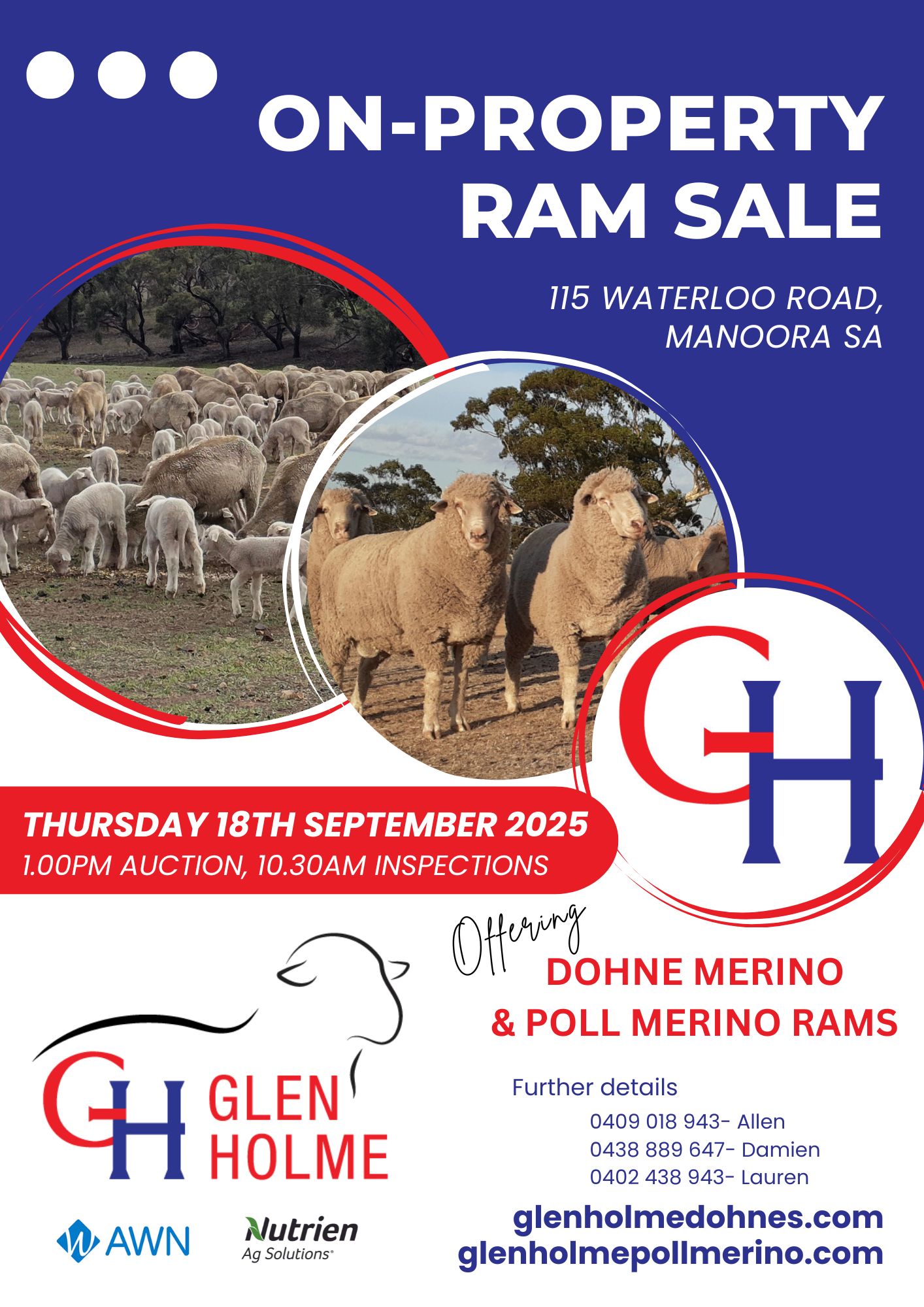 2025 SALE flyer 2025 SALE flyer